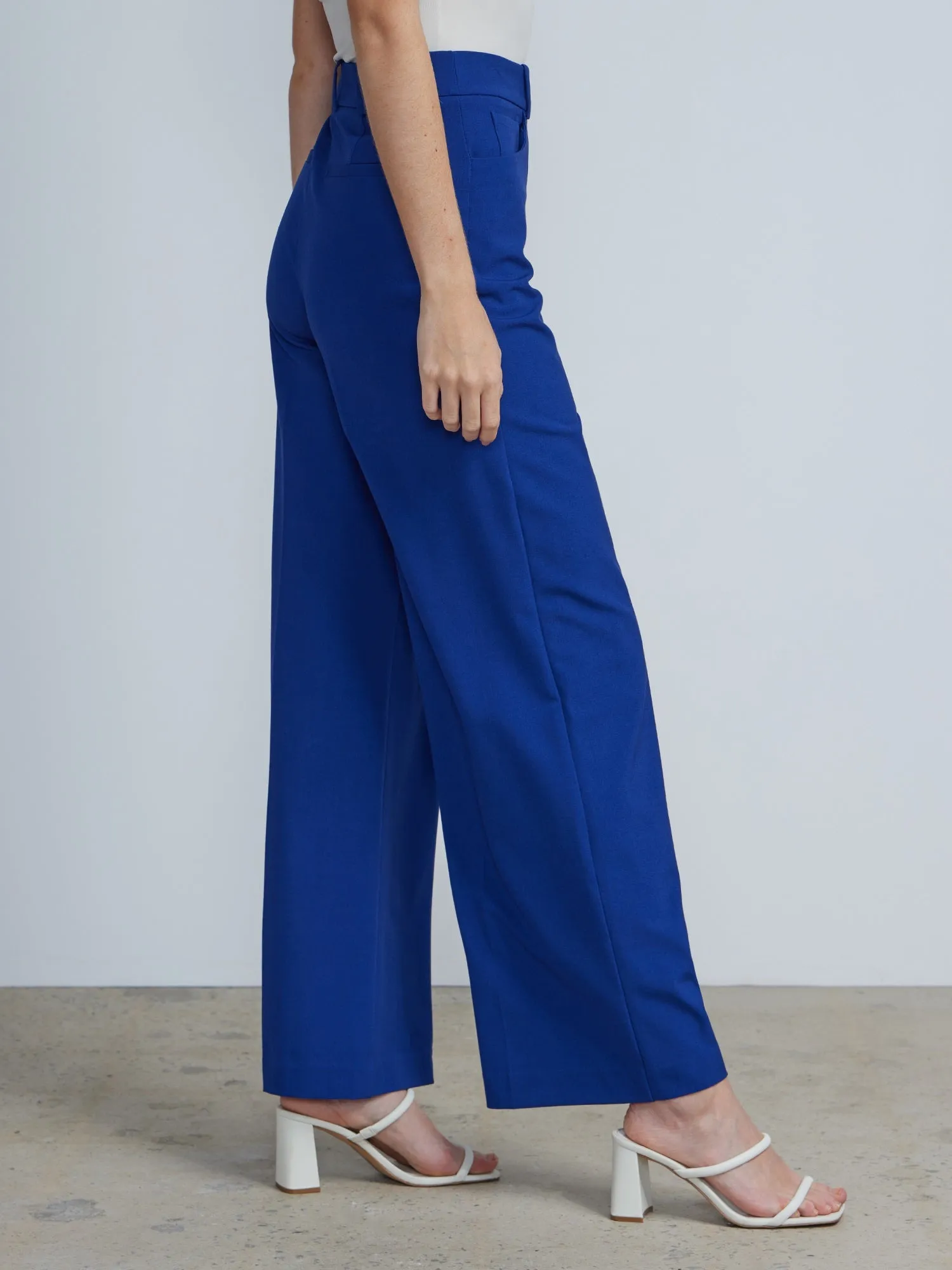 Petite High Rise Wide Leg Pant