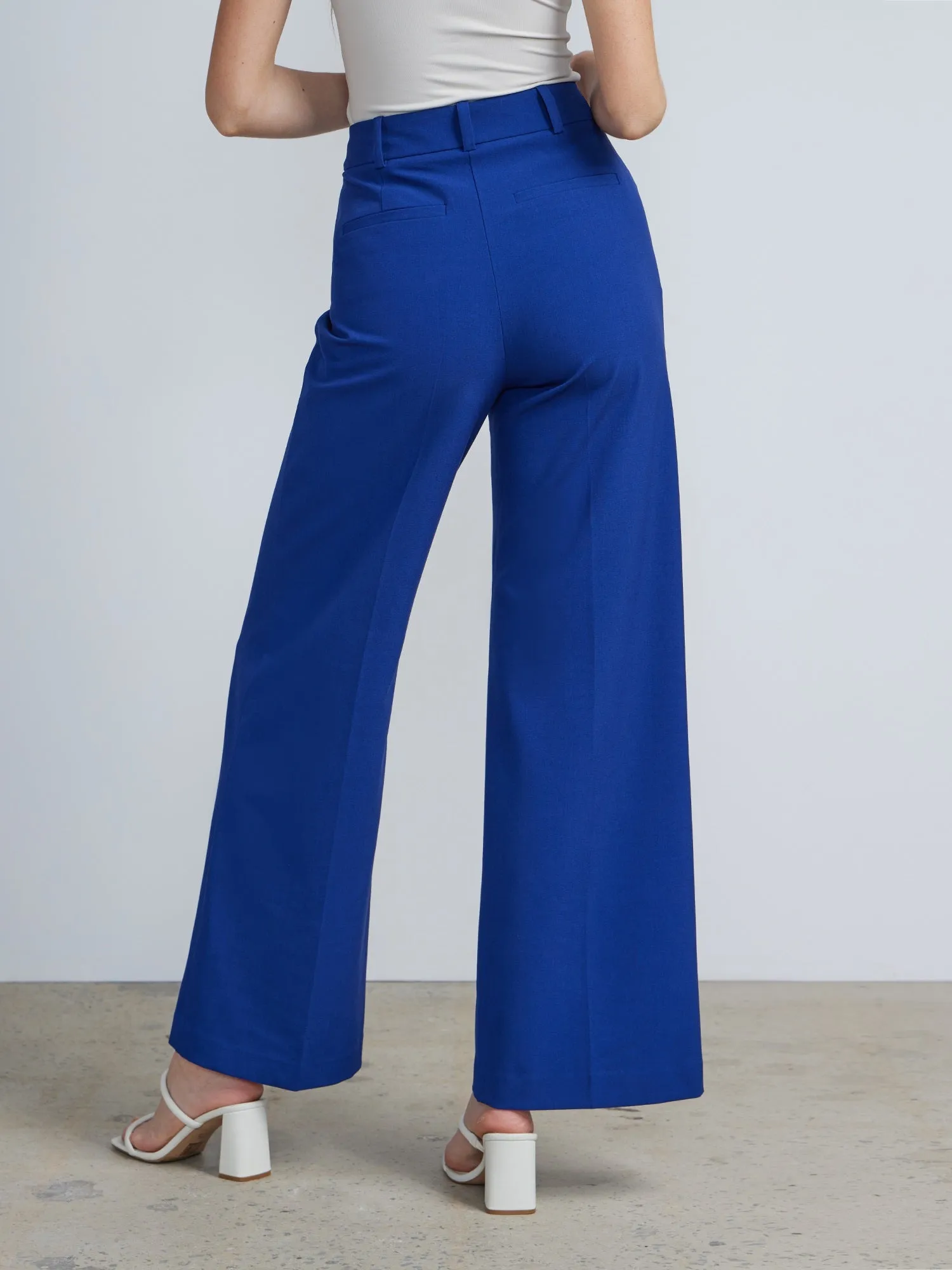 Petite High Rise Wide Leg Pant