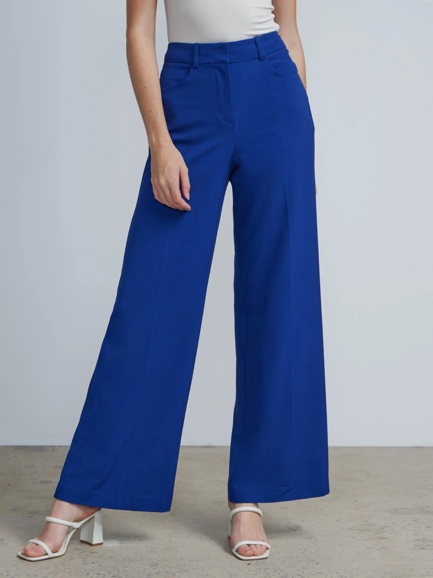 Petite High Rise Wide Leg Pant